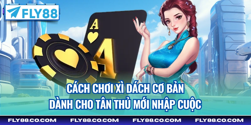 Cách chơi xì dách cơ bản dành cho tân thủ mới nhập cuộc